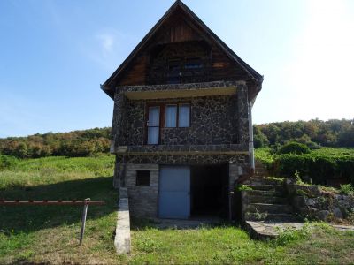 2 - izbová murovaná chata s vinicou, Viničky, Trebišov - okolie - 7
