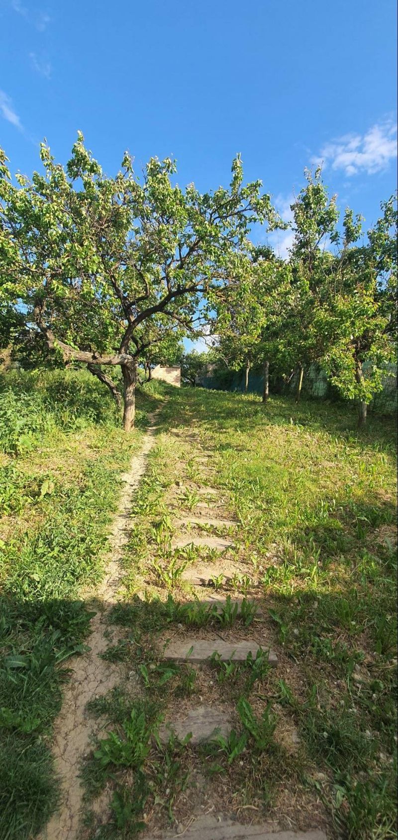 4 - izbový Rodinný dom, Maďarsko - 16