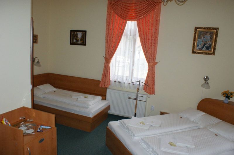 AREÁL PRE PENZIÓN, SVADBY, KONGRESY, KLINIKA - 21