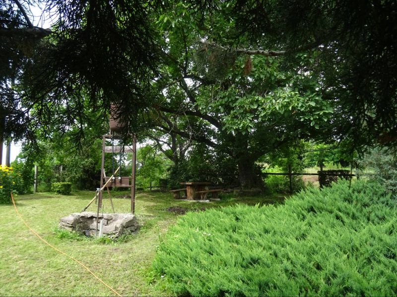 CHATA so záhradou - Fony , Maďarsko - 16