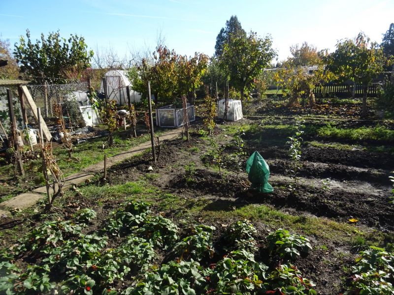 Rodinný dom 4 - izbový Encs, Maďarsko - 19