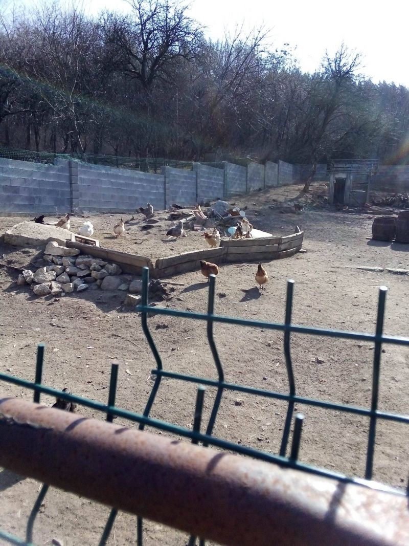 Rodinný dom Pusztafalu, Maďarsko - 10